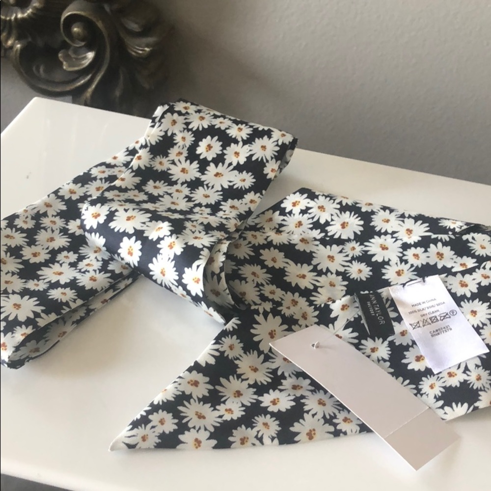 Ann Taylor silk skinny scarf Long - Picture 4 of 8